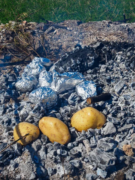 Izgarada pişmiş patates. Mangal için ateşte pişmiş sebzeler. Kırsalda yemek, arkadaşlar arasında parti..