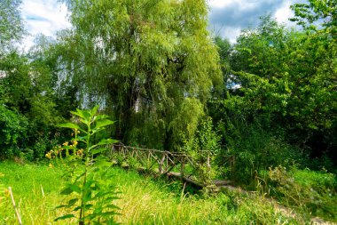 Tahta bir köprü, küçük bir nehir boyunca çeşitli yeşillikler ve ağaçlarla çevrilidir..
