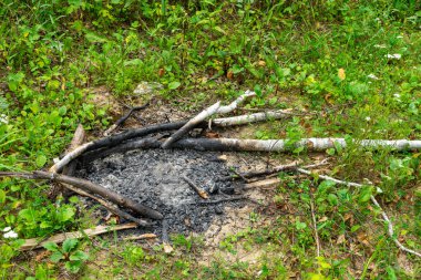 Ormandaki bir çayırda sönmüş şenlik ateşi. Yeşil Turizm.
