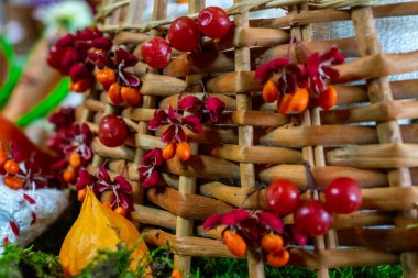 Süslü bir çitte kırmızı viburnum çilekleri.