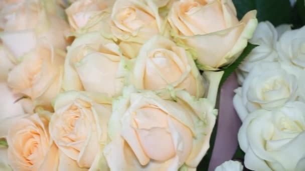 Жовті Білі Троянди Крупним Планом Камера Рухається Зліва Направо — стокове відео