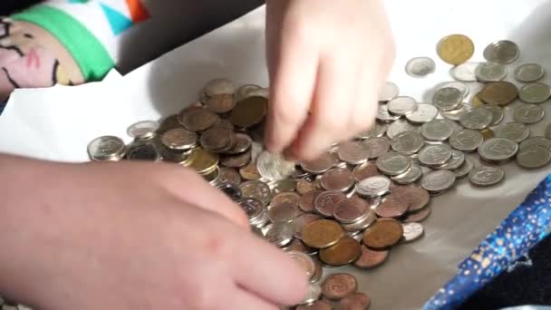 새로운 우크라이나 새로운 우크라이나 동전을 분류하는 — 비디오