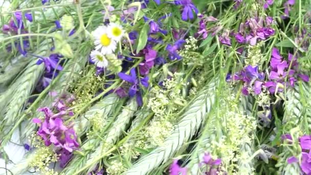 Espigas Verdes Flores Silvestres Cerca Vista Superior Panorámica Cámara Izquierda — Vídeo de stock