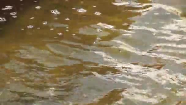 Luftblasen Auf Dem Braunen Wasser Wasser Mit Blasen Aus Nächster — Stockvideo