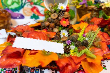 Sonbahar sarı yaprakları ve konilerinin arka planı. Metin ve kopyalama alanı