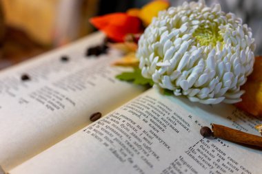 Ukraynaca şiir içeren açık bir kitap. Keskin bir şekilde betimlenmiş uzayın sığ derinliği.