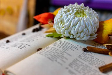 Hayalperestin açık kitabı bir kitapseverdir..