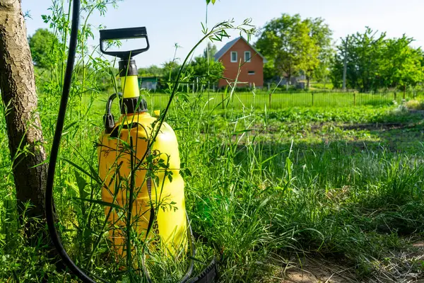 Kırsal bir arazinin arka planında bahçe spreyi.