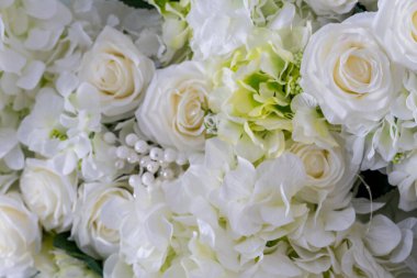 Beyaz çiçeklerin hafif arkaplanı. Yumuşak ve seçici odak.