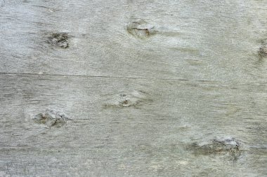 Ahşap doku: zamanın ve doğal güzelliğin izleri..