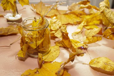 Sonbahar ormanının cazibesi cam bir kavanozda.