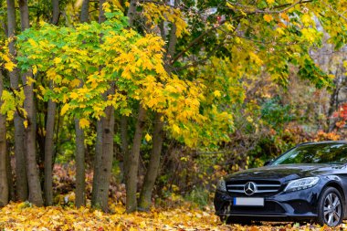 A sleek black car is parked next to a cluster of trees adorned with bright yellow leaves. The ground is covered in fallen leaves, creating a picturesque fall atmosphere. clipart