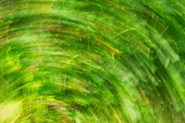 Çevrede dönen yeşil yaprakların dinamik deseni, hareket halindeki doğanın özünü yakalıyor. Sahne, bir enerji ve çevre bağlantısını çağrıştırıyor..