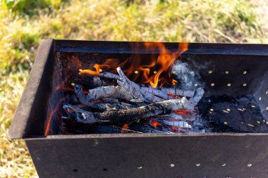 Flames emerge from burning charcoal in a grill set on lush grass. The warm sunlight creates a relaxed atmosphere perfect for cooking and enjoying food outdoors. clipart