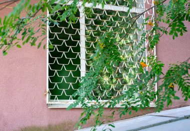 Benzersiz bir dekoratif ızgara bir pencereyi kaplıyor, bir binanın pembe duvarına stil katıyor. Yemyeşil yapraklar manzarayı çerçeveletip, davetkar bir şehir atmosferi yaratıyor..