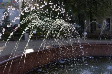 Su püskürtüleri dairesel bir fıskiyeden yukarıya doğru fışkırarak huzur dolu bir parkta büyüleyici bir şekilde parıldayan damlacıklar oluşturur..