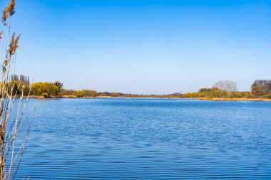 Berrak bir mavi gökyüzünün altında sakin bir göl uzanır. Ağaçların çevresini çevreleyen yeşilin çeşitli tonları gün ortası boyunca huzurlu çevreyi vurguluyor.