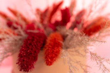 Kırmızı ve turuncunun çeşitli tonlarında kurumuş çiçeklerin canlı bir görüntüsü açık renkli bir kabı doldurur. Arka plan pembeyle hafifçe aydınlatılıyor ve sıcak bir atmosfer yaratıyor..