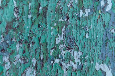 Yıpranmış ahşap bir yüzeye yakından bakınca yeşil boyaların katmanları görünüyor. Doku, kırsal çekiciliğini sergileyen hava alma ve yaşlanma tarihini gözler önüne seriyor..