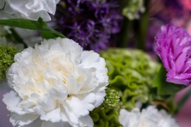 Çiçeklerin güzel bir çeşidi beyaz, mor ve yeşil renkleri sergiliyor, hepsi bir arada. İlkbahar görüntüsü doğanın güzelliğini ve canlı renklerini yakalar..