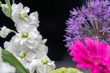 Beyaz, mor ve pembe çiçekler de dahil olmak üzere çeşitli çiçekler bir bahçede sanatsal olarak düzenlenir. Her çiçek eşsiz şekiller ve renkler sergiliyor, canlı atmosferi güçlendiriyor..