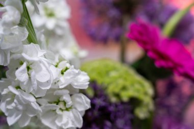 Bir vazoda çeşitli çiçek koleksiyonunda parlak renkler ve dokular sergilenir. Düzenleme beyaz, mor ve pembe çiçekleri içerir. Neşeli bir ortamda bahar dekorasyonu için mükemmeldir..