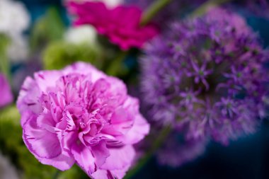 Renkli çiçeklerden oluşan canlı bir sergide mor alyumlar ve pembe karanfiller yer alıyor. Çiçekler canlı bir atmosfer yaratıyor, sanatsal bir düzende güzellikleri gözler önüne seriyor..