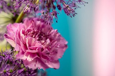 Canlı pembe çiçekler yumuşak renkli bir arka plana karşı güzel bir şekilde göze çarpıyor. Yaprakların ayrıntıları ve arka plandaki kontrastlar huzurlu ve neşeli bir atmosfer yaratıyor..