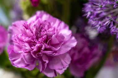 Güzel bir bukette karanfiller ve diğer çiçek çeşitleri de dahil olmak üzere zengin mor çiçekler yer alır. Düzenleme herhangi bir ayara cazibe ekleyerek canlı renkler ve karmaşık taç yaprakları gösterir.