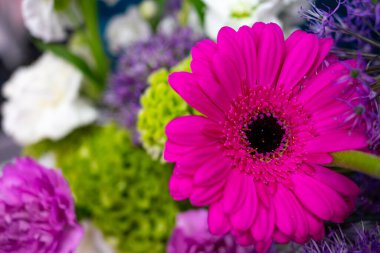 Etrafı çeşitli çiçeklerle çevrili parlak pembe bir çiçeğin yakın plan görüntüsü. Bu düzende mor ve yeşil tonlarda sergilenen baharın güzelliği ve tazeliği yer alıyor..