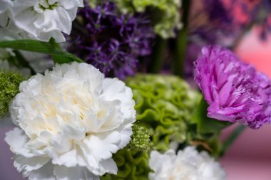 Canlı renkler ve dokular sergilenen güzel bir çiçek koleksiyonu. Ekran, bulanık bir arkaplan üzerine kurulmuş beyaz ve mor çiçekleri içeriyor, tazeliklerini vurguluyor.