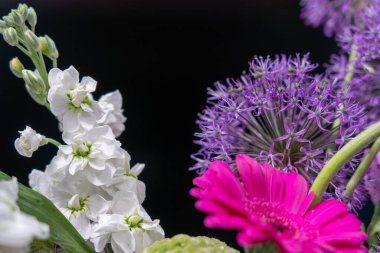 Beyaz çiçekler, mor ittifaklar ve parlak pembe gerberalar da dahil olmak üzere çeşitli çiçeklerden oluşan canlı bir koleksiyon baharın güzelliğini sergiliyor. Buket koyu bir arkaplan üzerine kurulmuş..