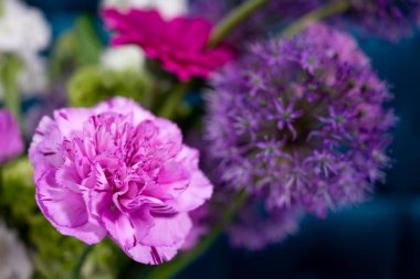 Canlı pembe karanfiller ve mor alyumlar birlikte çiçek açarlar. Benzersiz şekillerini ve renklerini mavi bir arkaplana karşı güzelce dizilmiş bir bukette sergilerler..