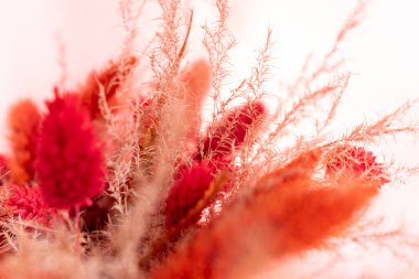 Kırmızı ve turuncu kurumuş çiçeklerin renkli bir karışımı sanatsal olarak düzenlenir ve hassas bir doku karışımı sergilenir. Yumuşak ışıklandırma onların doğal güzelliklerini ve sıcaklığını arttırır..