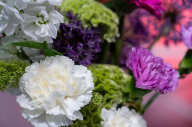 Beyaz, mor ve yeşil renkli çeşitli çiçeklerden oluşan çarpıcı bir düzenleme. Karmaşık taç yaprağı tasarımları sergiliyor. Doğal güzelliği olan her yeri büyütmek için mükemmel..