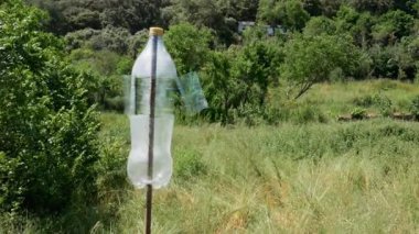 Metal bir çubuğa çarptıkları ses ve yere yaydıkları titreşimler yüzünden bahçede kuş önleyici ve köstebek önleyici olarak kullanılan plastik bir şişeden yapılmış yel değirmeni.
