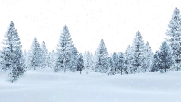 Paesaggio Invernale Tranquillo Con Foresta Abeti Coperti Neve Sullo Sfondo — Video Stock