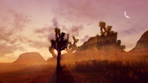 Desolate Canyon Desert Landscape Dark Joshua Tree Palm Silhouettes Dramatic — 비디오