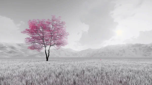 Frühlingslandschaft Mit Einzeln Üppig Blühendem Rosa Sakura Kirschbaum Voller Blüte — Stockfoto