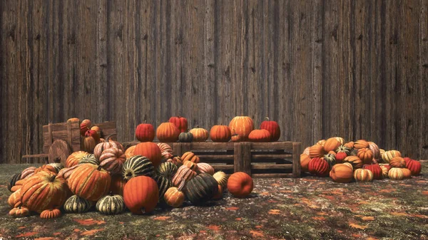 Verschiedene Bunte Herbstkürbisse Lagen Auf Holzkisten Und Auf Dem Boden — Stockfoto