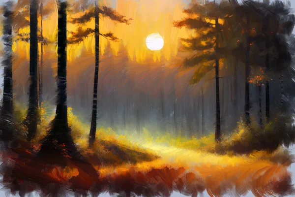 Sonbahar Renklerinde Köknar Ormanının Kenarında Manzaralı Günbatımı Olan Pitoresk Ormanlık — Stok fotoğraf