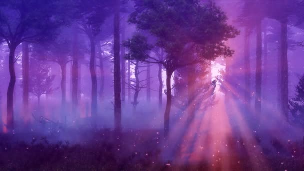Snová Lesní Scenérie Nadpřirozenými Světluškami Vznášejícími Slunečních Paprscích Kouzelném Mlhavém — Stock video