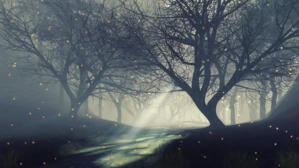 暗い霧の夜の魔法の森の古い不気味な木々の間の道の上に輝く超自然的な妖精の火のライトが付いている神秘的な森の風景 4Kでレンダリングされたファンタジー3Dアニメ — ストック動画