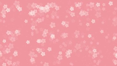 Soyut çiçek desenli arka plan. Canlandırılmış sakura çiçekleri. Şeftali pembesi arka planına düşen kiraz çiçekleri. Doğulu ya da ilkbahar tasarımı için basit pastel renk video animasyonu.