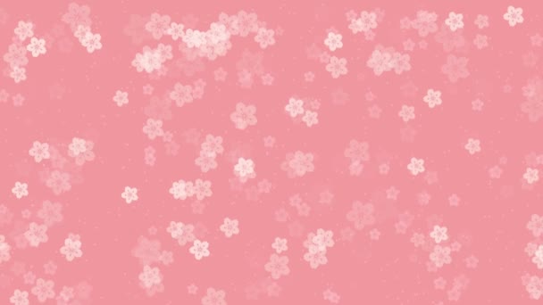 摘要在桃红色的背景下 有着生机勃勃的樱花樱花的植物图案运动背景 东方或春季设计用的简单彩色图像动画 — 图库视频影像