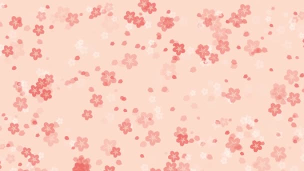 抽象的植物运动背景 生机勃勃的粉红色樱花和樱花花瓣落在苍白的桃色背景下 东方或春季设计用柔和彩绘动画 — 图库视频影像