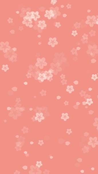 Animasyon Sakura Çiçekleri Şeftali Arkaplanına Düşen Kiraz Çiçekleri Ile Soyut — Stok video