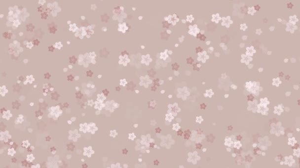 アニメーションの明るい桜の花とクリーミーなベージュの背景に落ちる桜の花びらと抽象的な花のビデオ背景 東洋または春のデザインのためのテンダーパステルカラーアニメーション — ストック動画