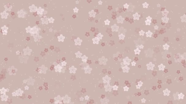 부드러운 베이지색 배경에 떨어지는 애니메이션 사쿠라 벚꽃과 개념을위한 우아한 파스텔 — 비디오