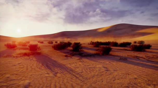 乾燥した茂みと日没の劇的な曇りの空の下の巨大な砂丘で砂漠の風景 4Kでレンダリングされた自然な背景3Dアニメーションなし — ストック動画